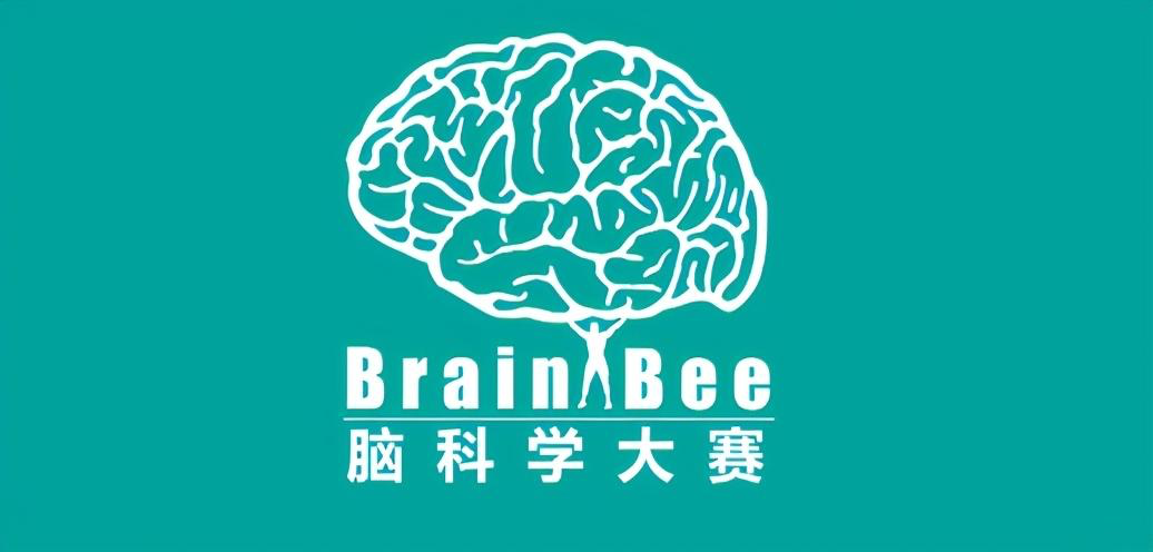 在脑科学比赛中，实外国际部学子是如何一往无前的？