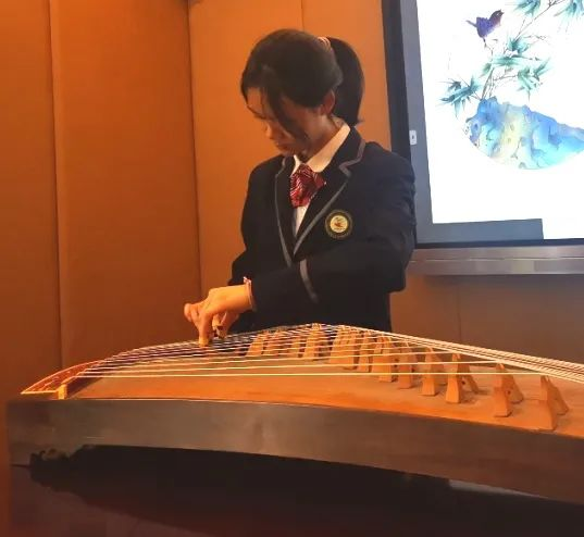 喜报——实外英德双语学子在德语DSD考试中再创辉煌！